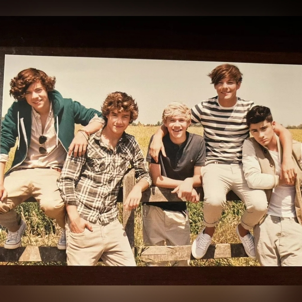 RARE 6ft Wall Hanging - 1D One Direction